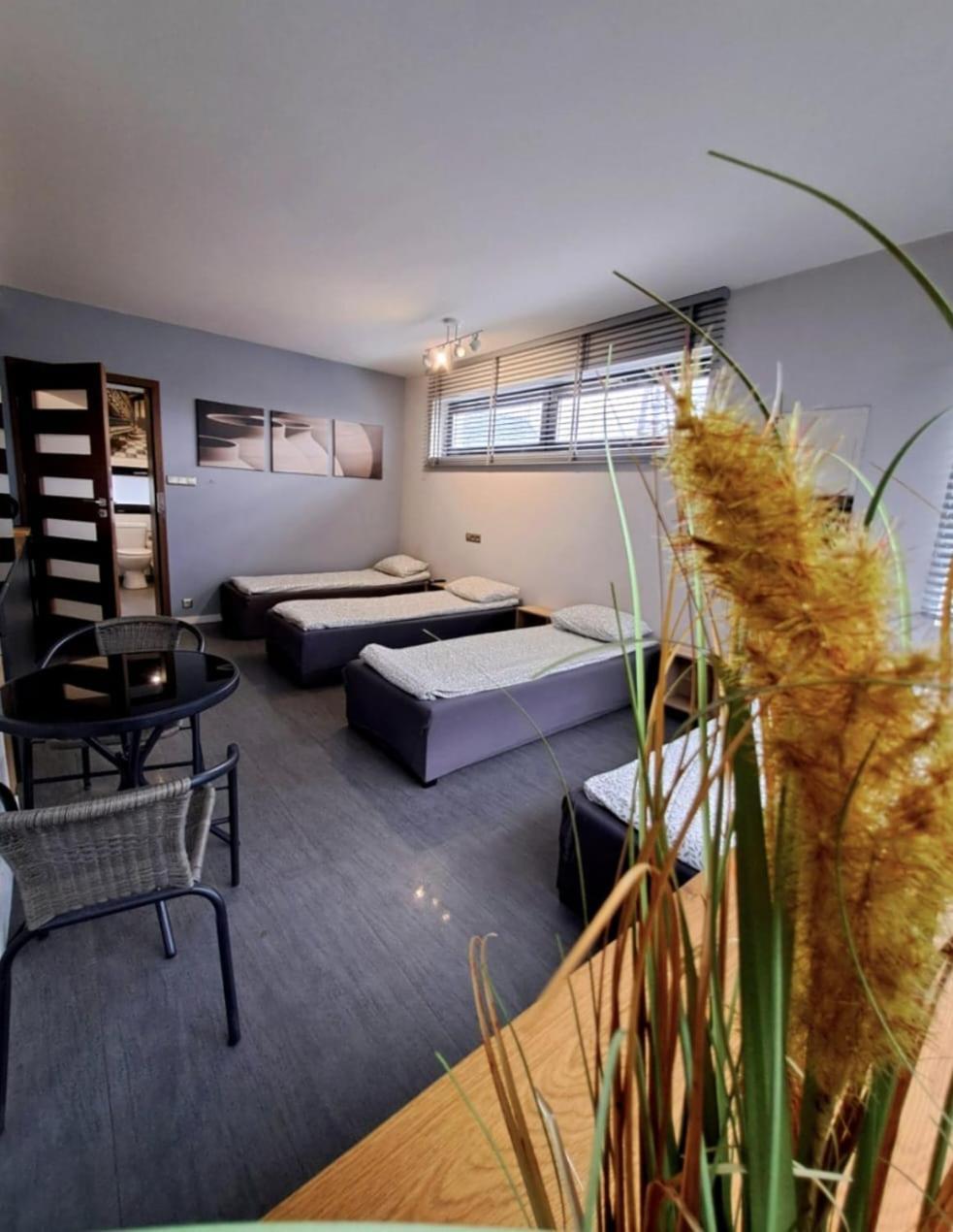 Apartament Studio Piano Płock Kültér fotó