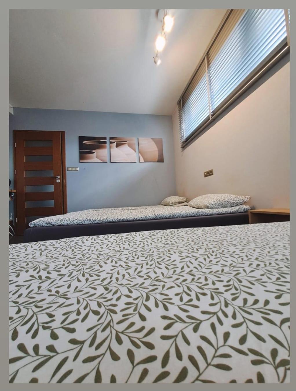 Apartament Studio Piano Płock Kültér fotó